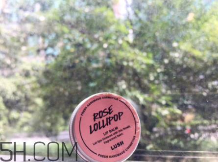 lush潤唇膏好用嗎？lush潤唇膏多少錢？