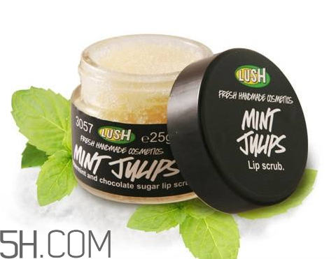 lush唇部磨砂膏好用嗎？lush唇部磨砂膏多少錢(qián)？
