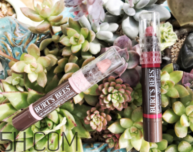 小蜜蜂唇膏筆多少錢？小蜜蜂唇膏筆很貴嗎？