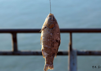 咸魚什么人不能吃？怎樣去除咸魚的咸