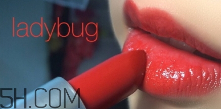 mac lady bug掉色嗎？mac ladybug真假辨別