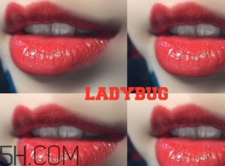 mac lady bug掉色嗎？mac ladybug真假辨別