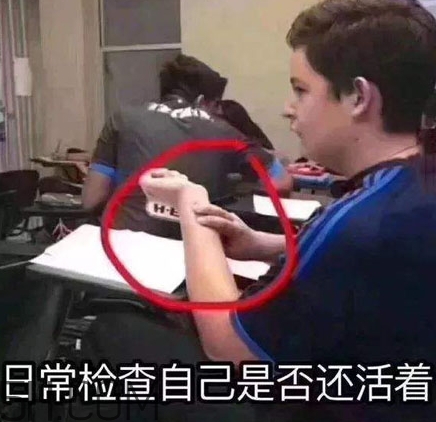 養生朋克什么意思？怎么做一個養生朋克？