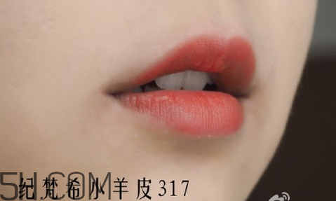紀(jì)梵希304是西柚色嗎？紀(jì)梵希小羊皮304和317哪個(gè)好看？