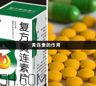 黃連素能降血糖嗎？黃連素能經常吃嗎？
