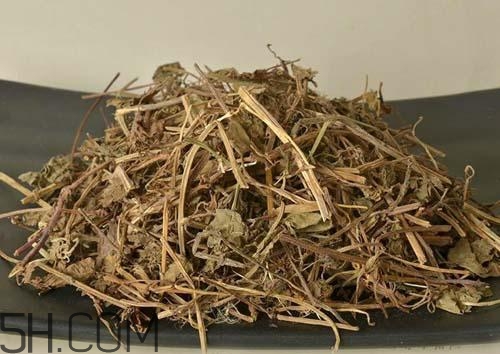 什么是透骨草？透骨草的功效與作用是什么？