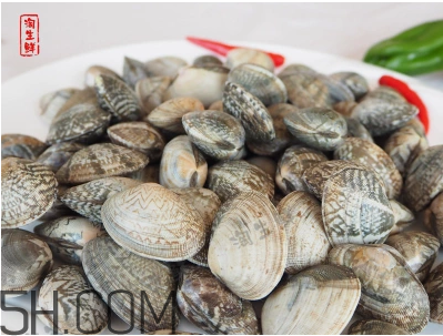 花甲可以冷凍嗎？養花甲鹽和水的比例是多少？