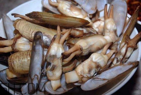 蟶子里面的黑色能吃嗎？蟶子為什么一撒鹽就出來？