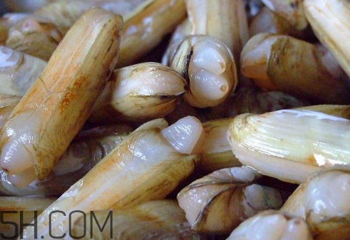 蟶子里面的黑色能吃嗎？蟶子為什么一撒鹽就出來？