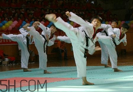 武術和跆拳道哪個對孩子好？武術和跆拳道的區別在哪里？