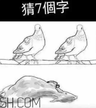 52422696代表什么意思？女生發52422696暗示什么
