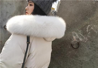 狐貍毛領會掉毛嗎？狐貍毛領掉毛怎么辦？