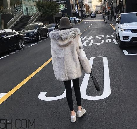 十字貂和水貂哪個(gè)好？十字貂和水貂哪個(gè)貴？