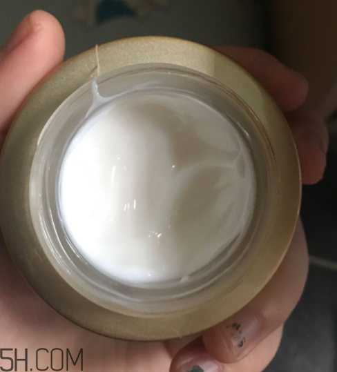 詩婷露雅蝸牛面霜適合秋冬嗎？適合油皮嗎？