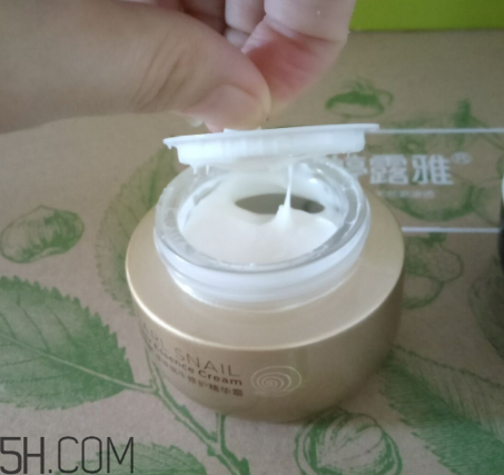 詩婷露雅蝸牛面霜適合秋冬嗎？適合油皮嗎？