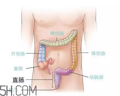 宿便有什么危害？如何清除宿便？