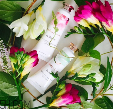 linden leaves香氛護(hù)手霜好用嗎？laura ashley護(hù)手霜好用嗎？