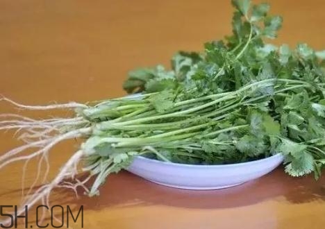 香菜根煮水能減肥嗎？香菜根煮水能天天喝嗎？