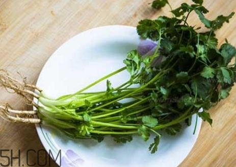 香菜根煮水能減肥嗎？香菜根煮水能天天喝嗎？