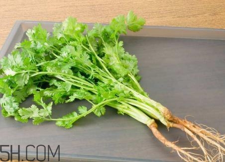 香菜根煮水能美白嗎？香菜根煮水能祛斑嗎？