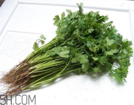 香菜根煮水能美白嗎？香菜根煮水能祛斑嗎？