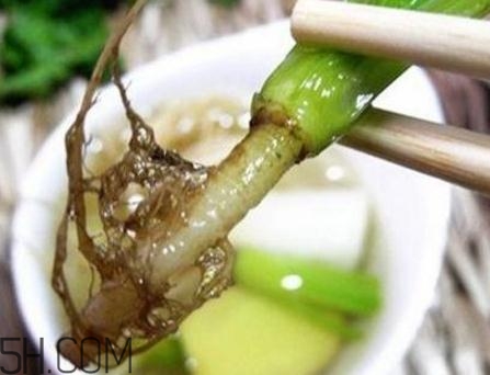 香菜根煮水能美白嗎？香菜根煮水能祛斑嗎？