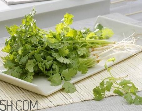 香菜根煮水能治濕疹嗎？香菜根煮水孕婦能喝嗎？