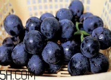 吃黑加侖對眼睛有什么好處？吃黑加侖要注意什么？