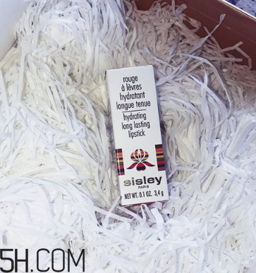 sisley希思黎抗氧保濕唇膏好用嗎？希思黎抗氧保濕唇膏測評