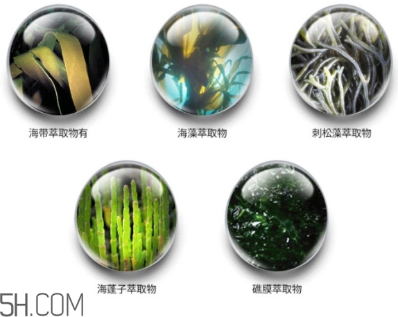 jmsolution珍珠面膜怎么用？jm珍珠珍珠面膜分為三部曲