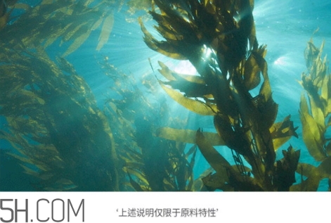 jmsolution珍珠面膜多少錢？jm珍珠面膜好用不過百元