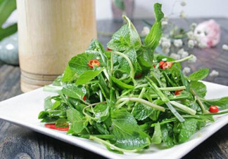 哪些中草藥可以當菜吃？最常見的是這三種