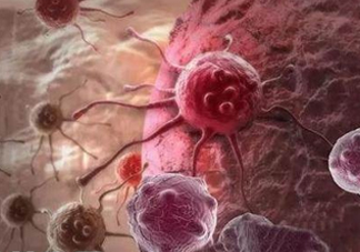 癌細胞是怎么生成的？原癌基因打敗了抑癌基因