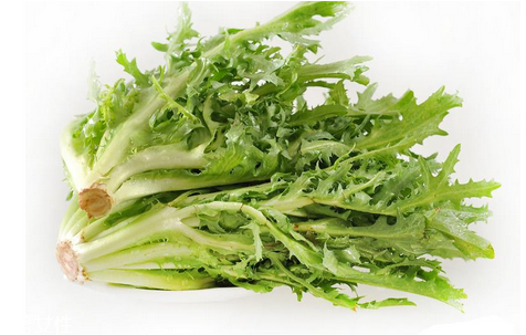 苦菊涼拌用開(kāi)水焯水嗎？苦菊涼拌才好吃