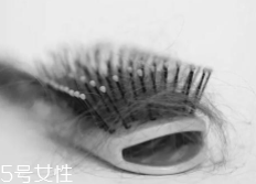 脫發有沒有治？只要不是禿子就有得治