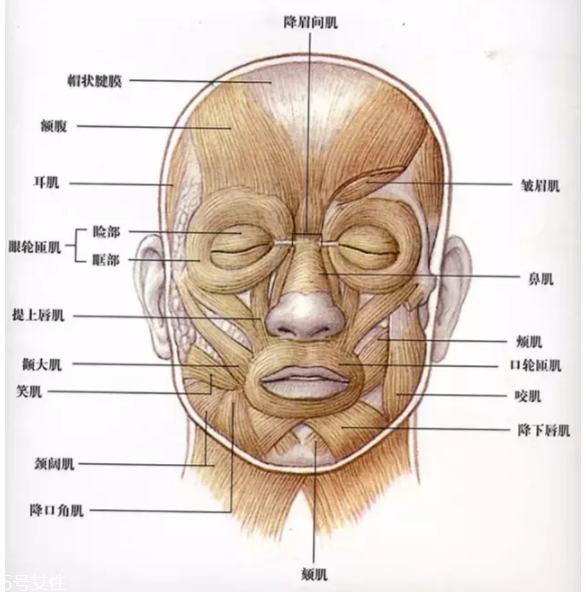 法令紋怎么去除？最有效的方法是醫美