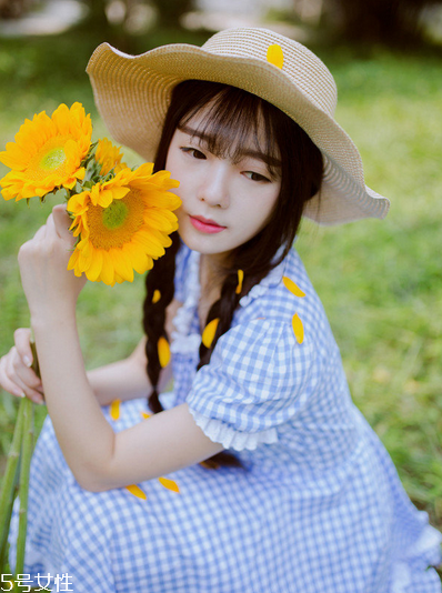 紅花逍遙片多少錢一盒？紅花逍遙片物廉價美
