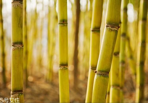 甘蔗熬水可以止咳嗎？來(lái)看看做法