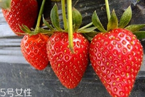 寶寶咳嗽可以吃草莓嗎？看是什么類型的咳嗽