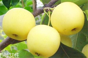 哺乳期吃梨有什么好處？梨子能做面膜