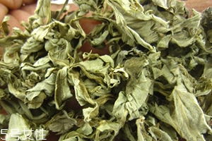 艾葉水可以洗外陰嗎？可以起到殺菌的作用