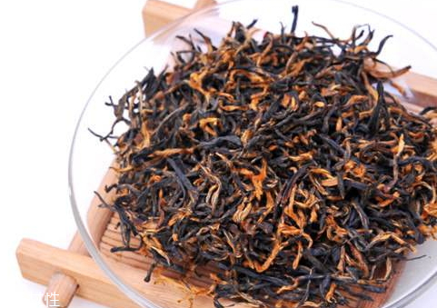 金駿眉黑芽好還是黃芽好 黃芽賣相更有優勢
