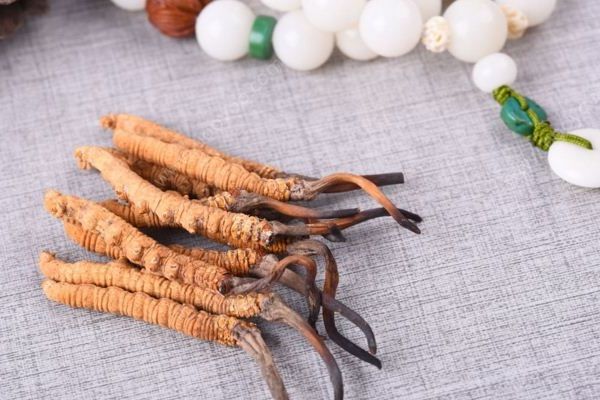 吃冬蟲(chóng)夏草的好處有哪些？四大好處任你選