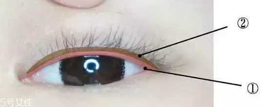 內眼線一定要畫嗎？畫好睫毛根部