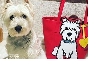marc tetro是什么牌子？美國高性價比包包品牌