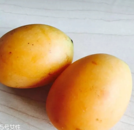 枇杷芒的營養價值和功效作用