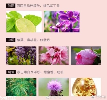 瀘州老窖香水多少錢？你身上有他的白酒味