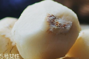 馬蹄可以減肥嗎 吃馬蹄不發胖