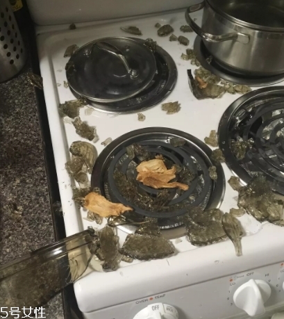 康寧鍋會爆炸嗎？請小心使用