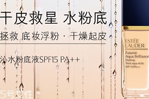 雅詩蘭黛粉底液和氣墊哪個好？